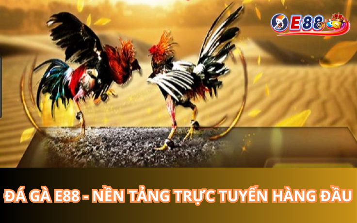 Đá Gà E88 - Nền Tảng Trực Tuyến Hàng Đầu