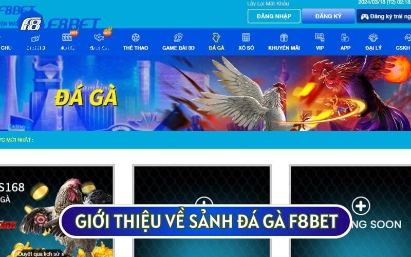 Sảnh ĐÁ GÀ tại F8BET luôn mang đến cho người chơi những trải nghiệm thú vị